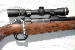 New Gun Listings