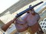 Side by Side Shotguns