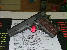 Military & Tactical Firearms