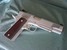 New Gun Listings