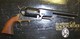 New Gun Listings